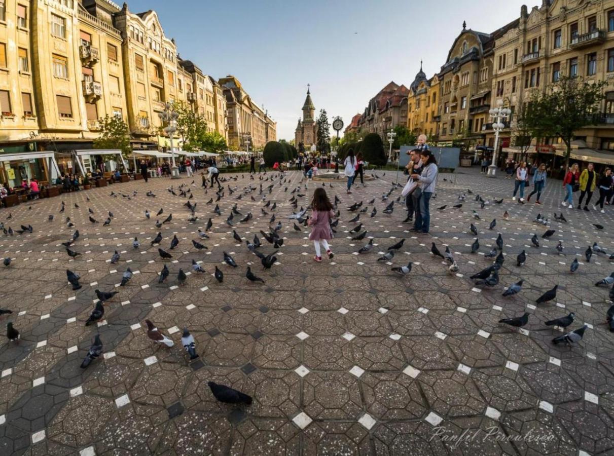 Premium Timisoara Lägenhet Exteriör bild